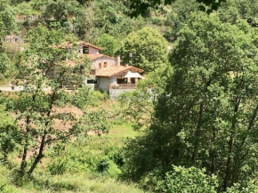 Can Poca Roba, Torelló